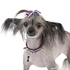 Ошейник для маленькой собачки ПАНКИ, ширина 10мм, длина 25см, синий/полоски, экокожа, GB353-25, FOR PETS ONLY Punk