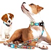 Ошейник для собак КОМИКС, с системой Smart ID, размер M, 20мм/34-55см, нейлон, 170083, MAX&MOLLY