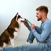 Мнямс лакомство для собак ДЕНТАЛ - ЗУБНЫЕ СПОНЖИ с фитокомплексом, 15г, МНЯМС Dental