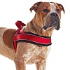 Шлейка для собак норвежская ХАНТЕР Рэйсинг размер XL, 38мм/72-90см, красная/черная, нейлон/флис, 46366, HUNTER NORWEGIAN RACING