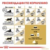 Роял Канин СФИНКС сухой корм для кошек породы Сфинкс,  2кг, ROYAL CANIN Sphynx