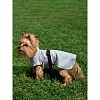 Охлаждающий жилет для собак, размер 35, длина 35см, обхват шеи 38см, серый, Ож-1023, OSSO Fashion
