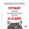 Роял Канин УРИНАРИ КЕА сухой корм для кошек для профилактики мочекаменной болезни, 2кг, ROYAL CANIN Urinary Care 