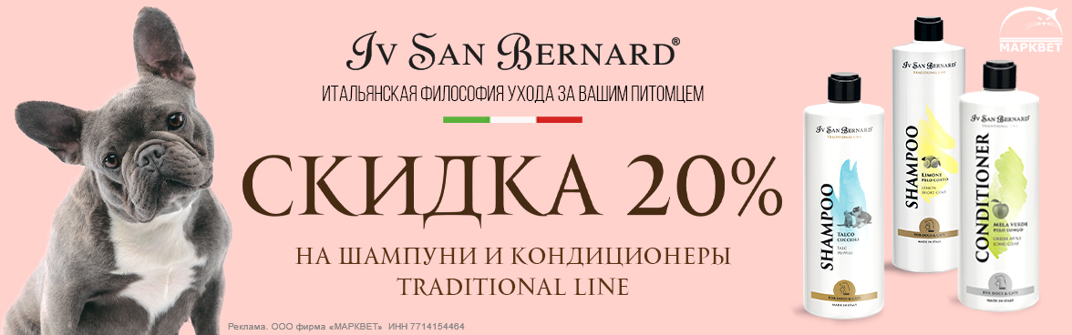 ISB Traditional Line - 20%__02.2025