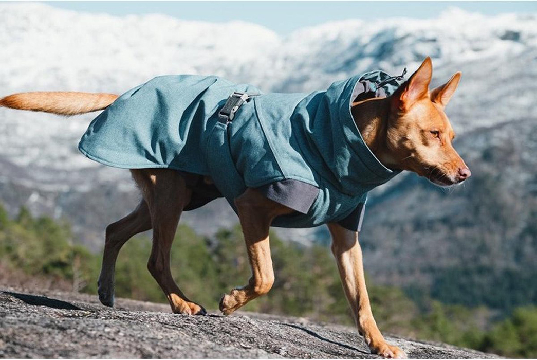 Expedition coat on sale