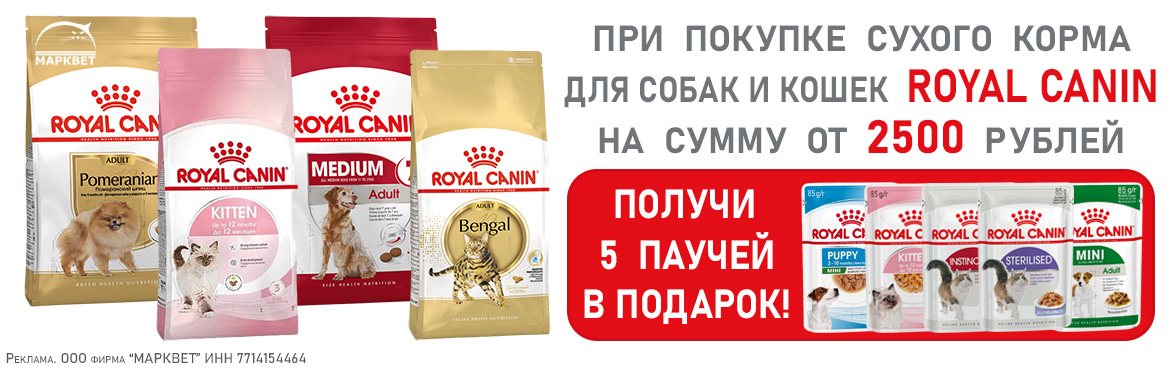 ROYAL CANIN 5 паучей в подарок__02.2026