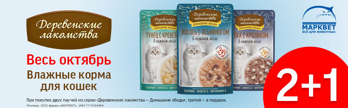 ДЕРЕВЕНСКИЕ ЛАКОМСТВА Домашние Обеды для кошек 2+1__10.2025