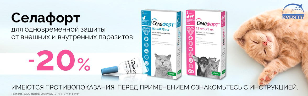 СЕЛАФОРТ - 20%__10.2026
