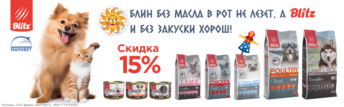 BLITZ выборочно - 15%__03.2025