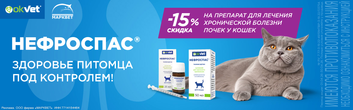 НЕФРОСПАС - 15%__04.2026