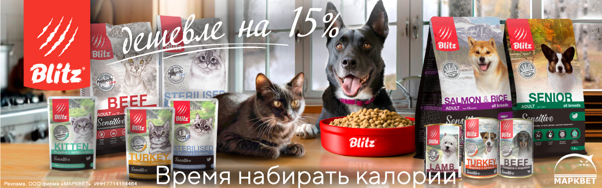 BLITZ выборочно - 15%__11.2024