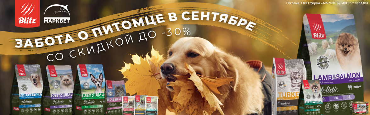 BLITZ выборочно -15%__09.2025