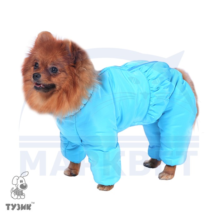 Дождевик для собак ForMyDogs для мальчиков 545/3SS-2021 M синий, размер A3