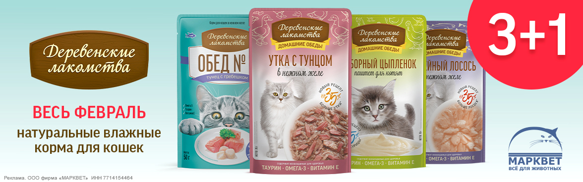 ДЕРЕВЕНСКИЕ ЛАКОМСТВА паучи 3+1__02.2026