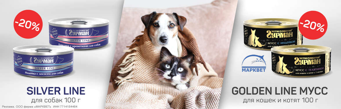 ЧГ голден мусс, сильвер 100г - 20%__11.2025