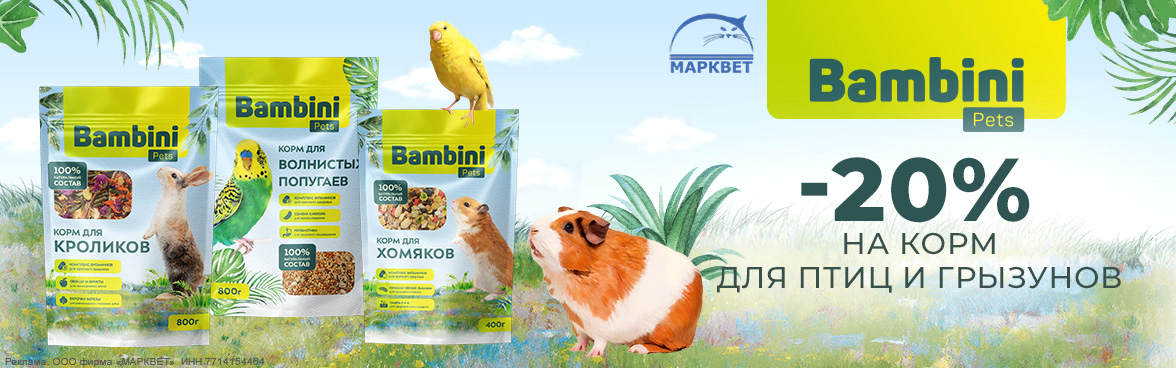 BAMBINI корма для птиц и грызунов - 20%__11.2025