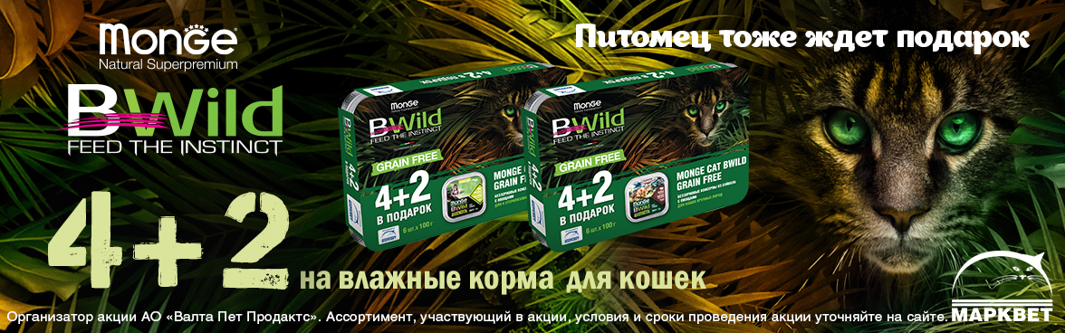 MONGE BWILD влажный корм для кошек 4+2 