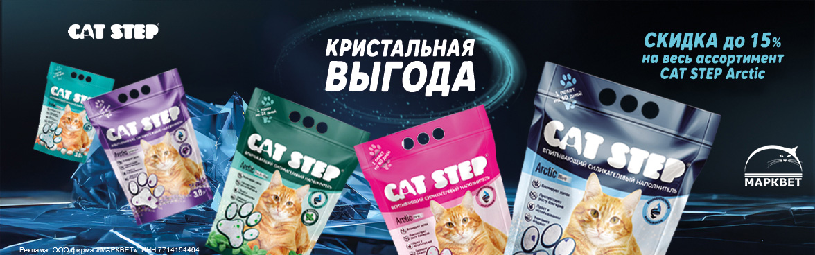 CAT STEP Arctic - 15%__11.2025