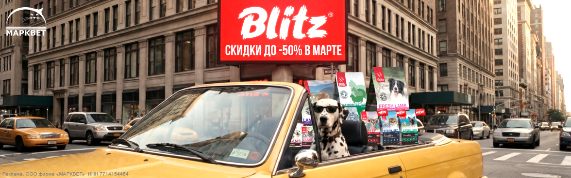 BLITZ выборочно до 50%__03.2026