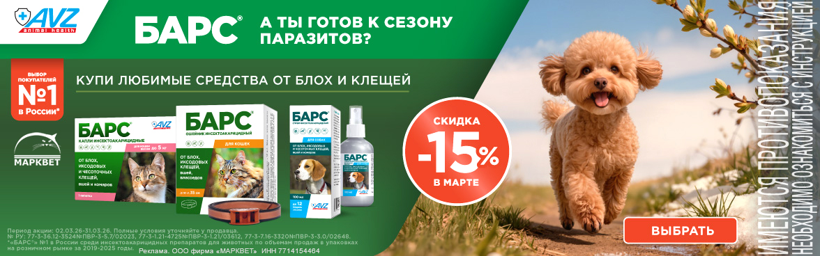 АВЗ БАРС - 15%__03.2026