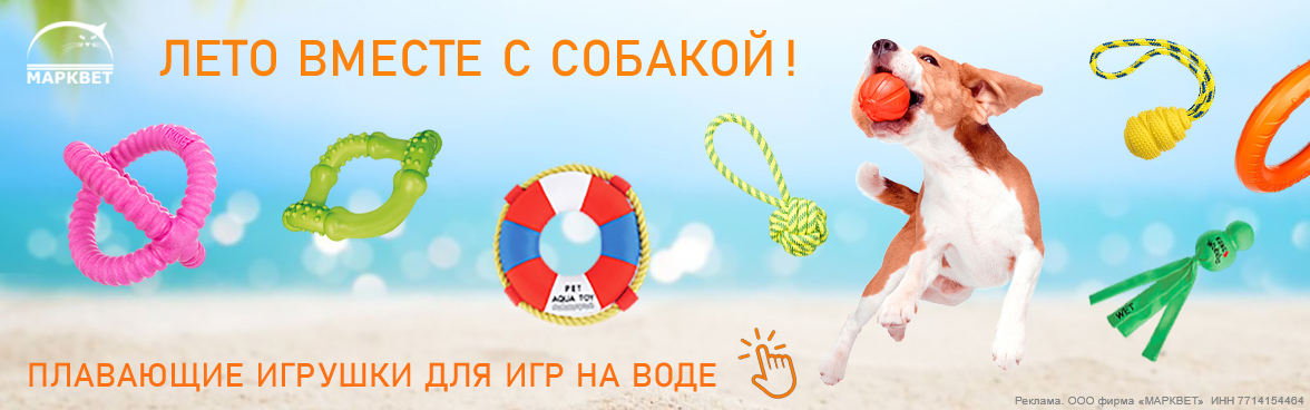 Плавающие Игрушки__07.2025
