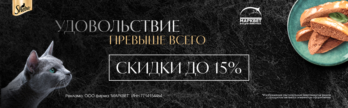 SHEBA - 15%__08.2025