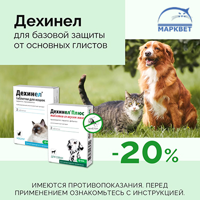 ДЕХИНЕЛ - 20% на таблетки от глистов для собак и кошек!