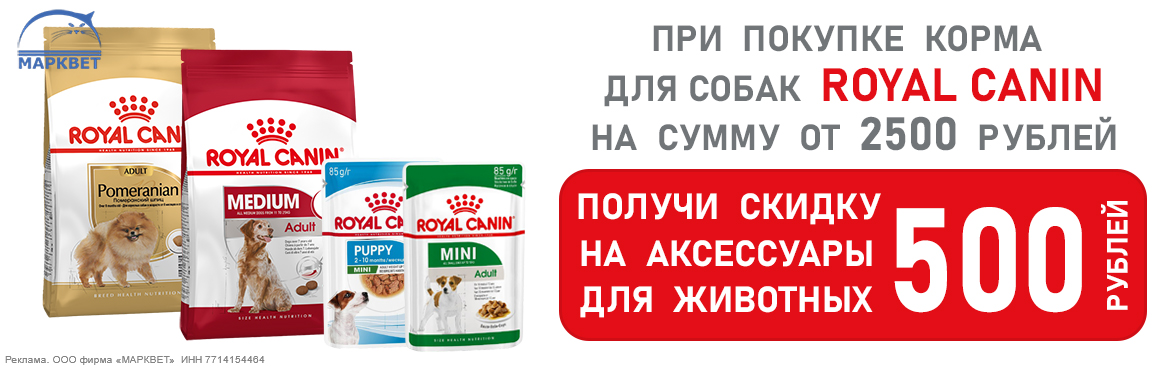 ROYAL CANIN для собак - скидка на аксессуары по купону__10.2025