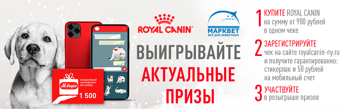 ROYAL CANIN РОЗЫГРЫШ НОВОГОДНИХ ПРИЗОВ