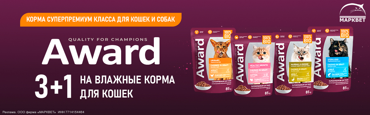 AWARD паучи для кошек 3+1__02.2025