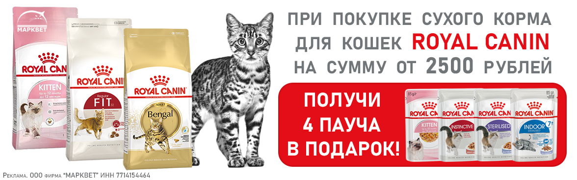 ROYAL CANIN 4 пауча в подарок__08.2025