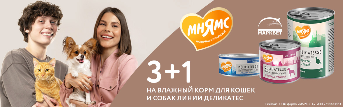 МНЯМС Delicatesse консервы 3+1__11.2025
