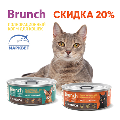 BRUNCH - 20% на консервы для кошек!