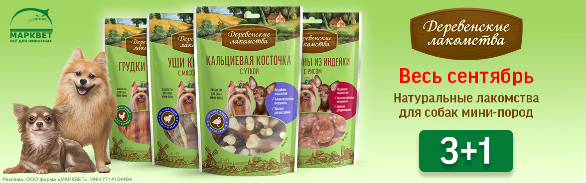 ДЕРЕВЕНСКИЕ ЛАКОМСТВА МИНИ 3+1__09.2025