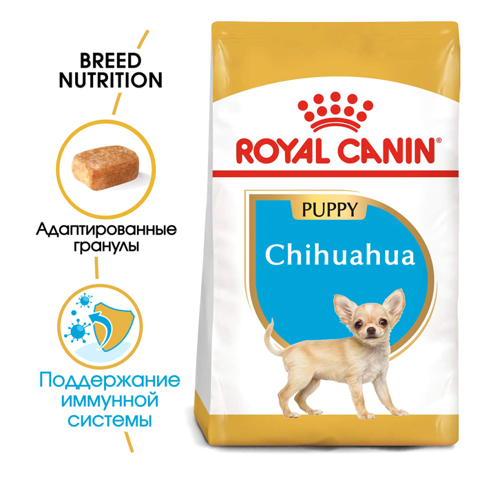 Best dry food for chihuahuas best sale