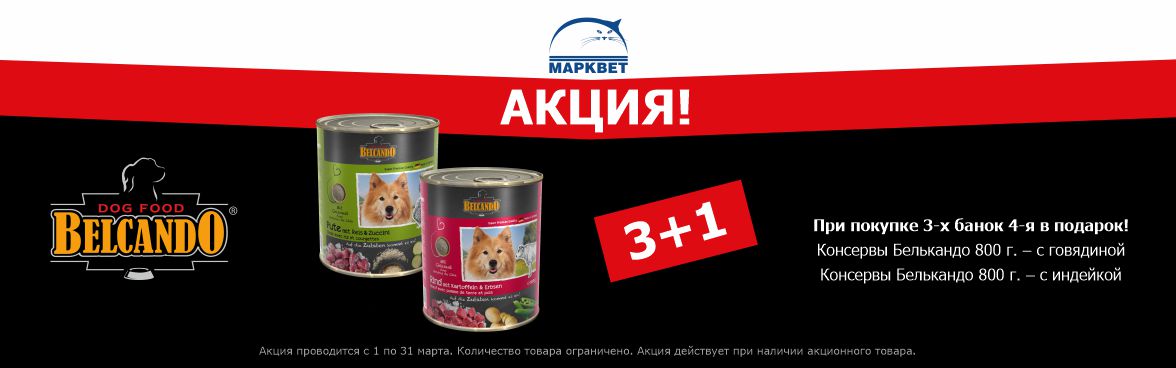 Марквет - сеть зоомагазинов и ветеринарных аптек в Москве