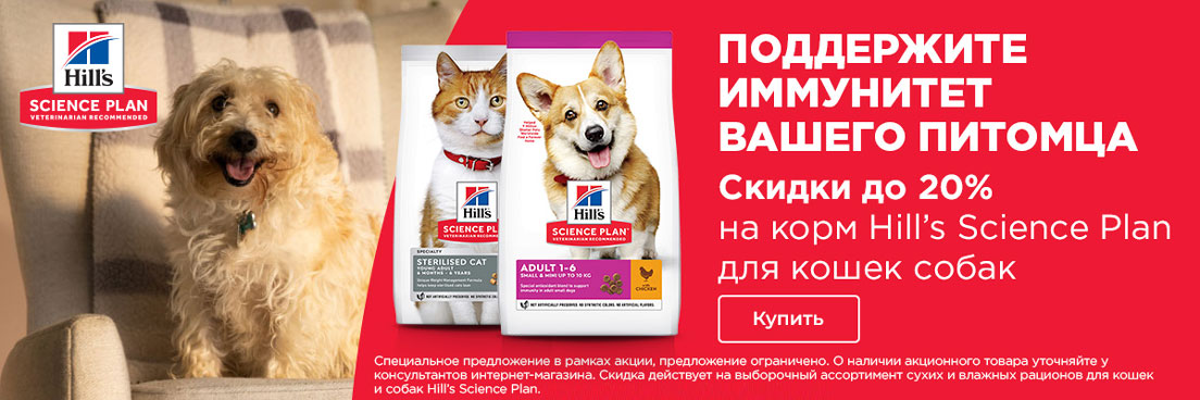 Hills SP cats-dogs-20%