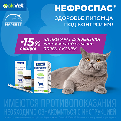 НЕФРОСПАС - 15%!
