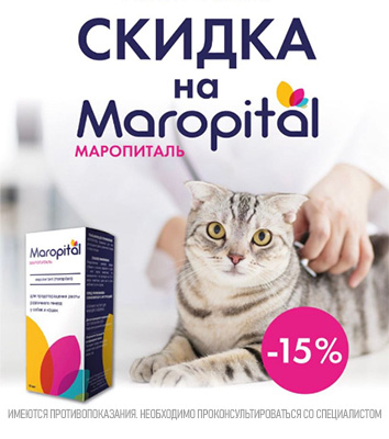 МАРОПИТАЛЬ - 15% на препарат для предотвращения рвоты!