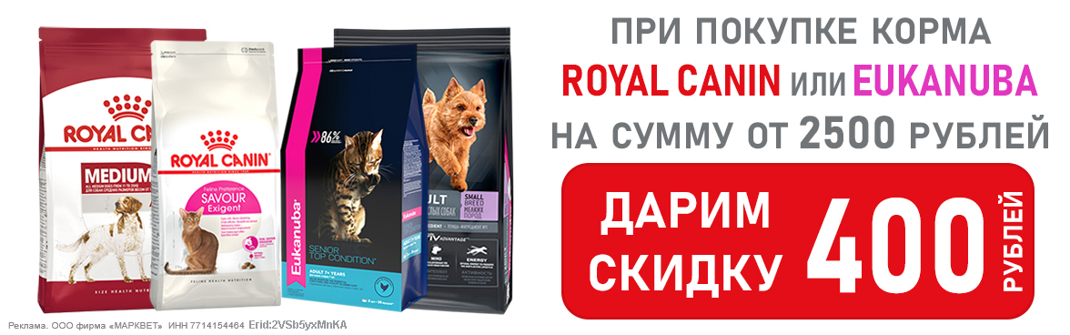 ROYAL CANIN скидка от 2500__12.2024