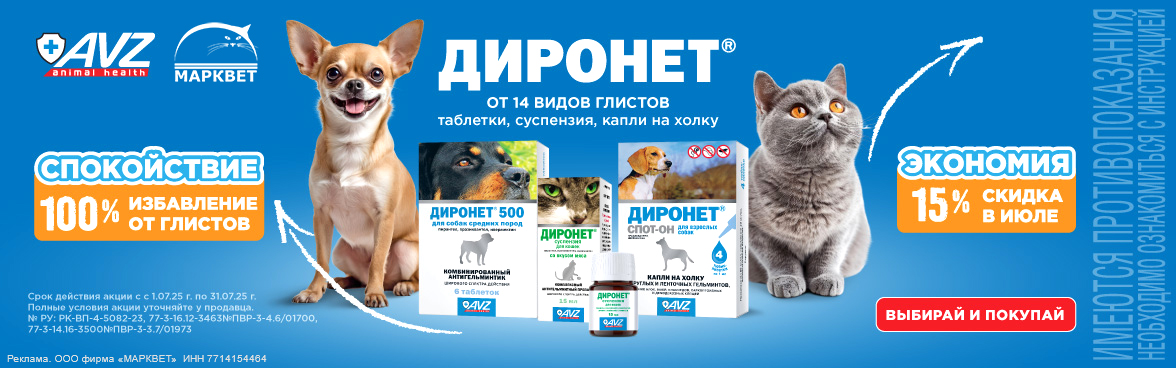 АВЗ Диронет - 15%__07.2025