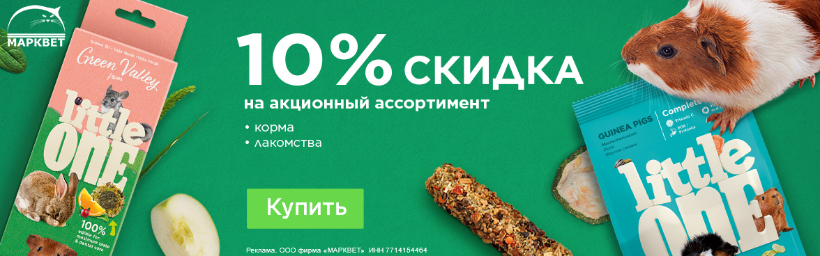 LITTLE ONE - 10%__10.2025