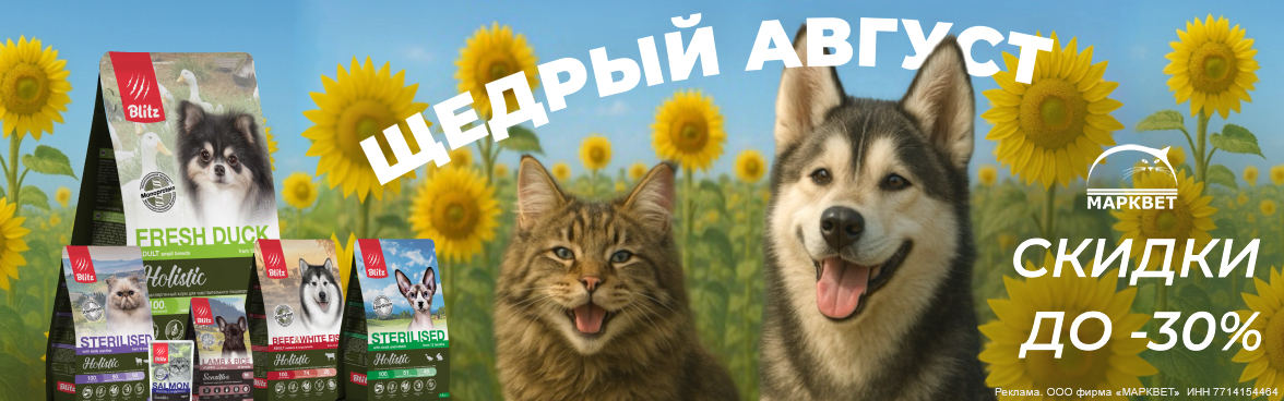 BLITZ выборочно до 30%__08.2025