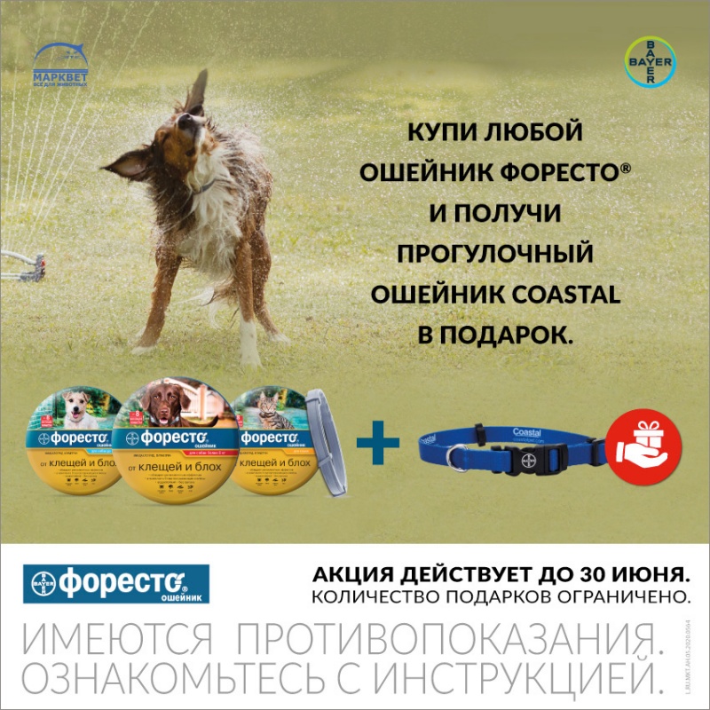 Форесто ошейник для собак весом до 8 кг, (Foresto S/M) 38 см