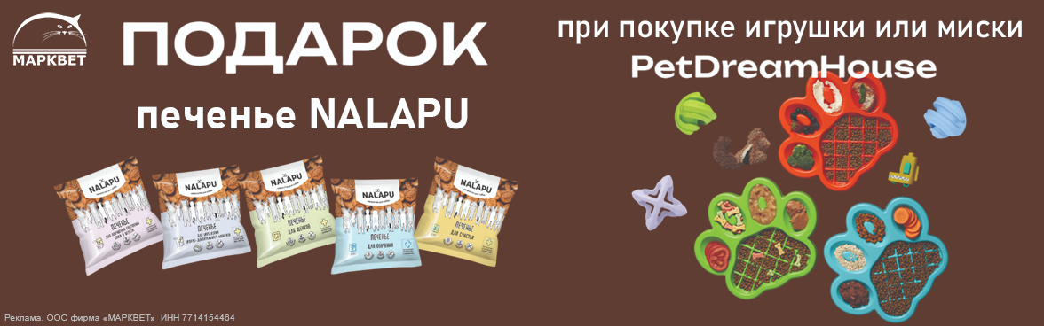 PET DREAM HOUSE + NALAPU__08.2025