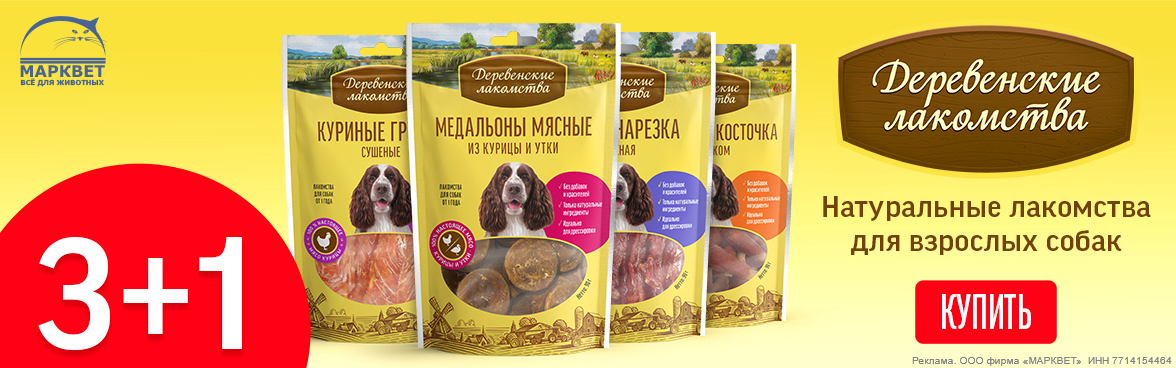 ДЕРЕВЕНСКИЕ ЛАКОМСТВА лакомства для взрослых собак 3+1__12.2025