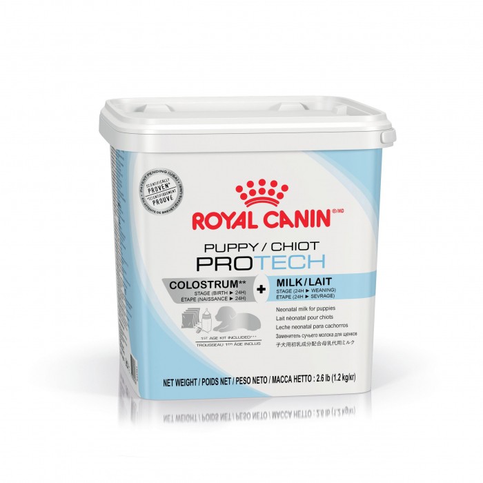 royal canin protech colostrum