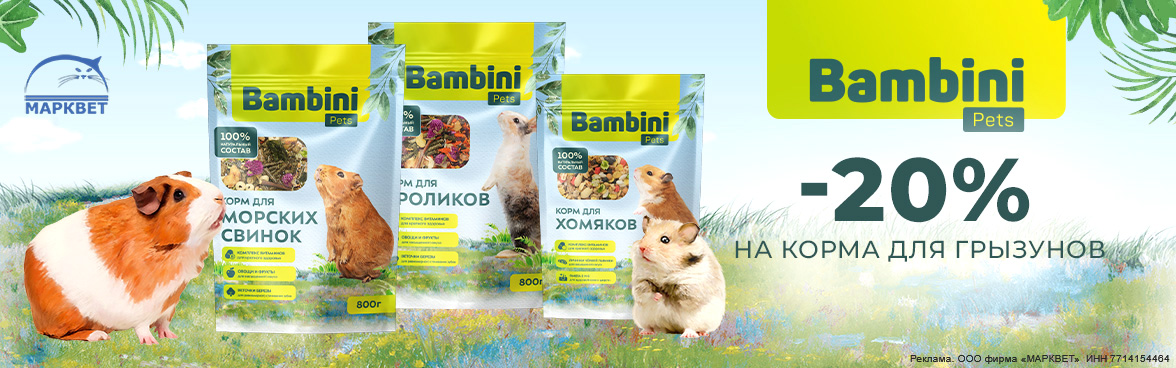 BAMBINI корма для грызунов - 20%__04.2026