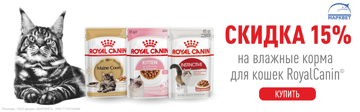 ROYAL CANIN паучи для кошек -15%__10.2023