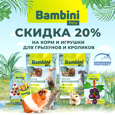 BAMBINI - 20% на товары для грызунов!
